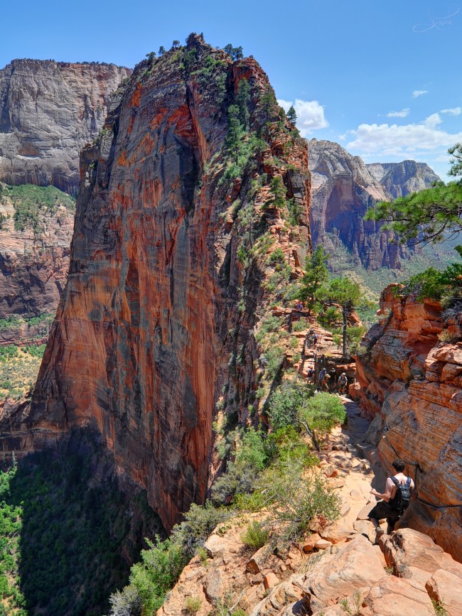 Angels Landing in Zion National Park, Utah - a breathtaking view | BOOMSbeat