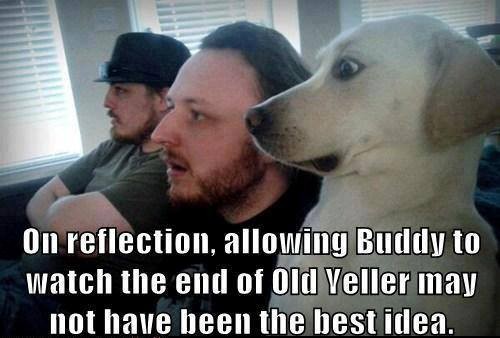 On reflection. allowing Buddy to watch the end of Old Veller may not have been the best idea.