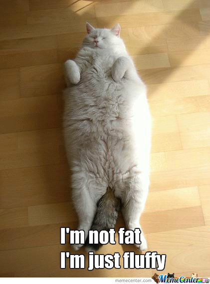 I'm not fat. I'm just fluffy | BOOMSbeat