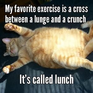 My favorite exercise is a cross between a lunge and a crunch. It's called lunch.