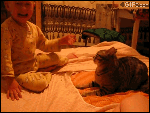 5cat 5cat