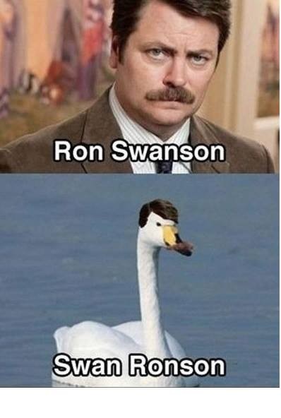 Ron Swanson vs Swan Ronson Ron Swanson vs Swan Ronson