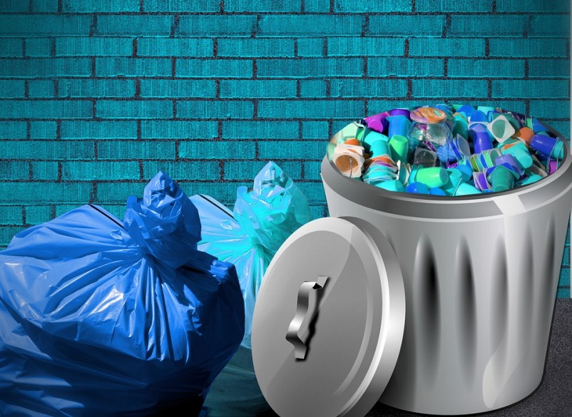 Enjoyment of trash films linked to high intelligence, study finds