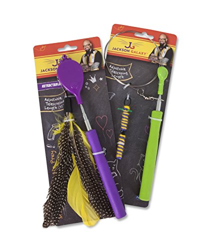 jackson galaxy wand toy