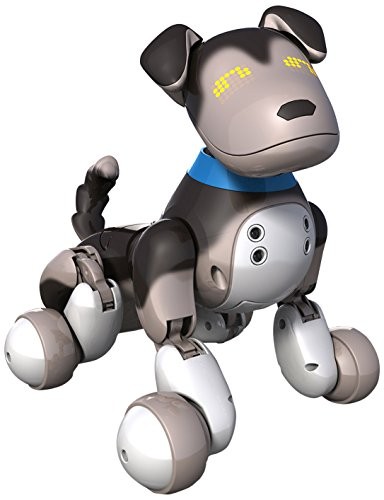 (VIDEO Review) Zoomer Interactive Puppy - Shadow