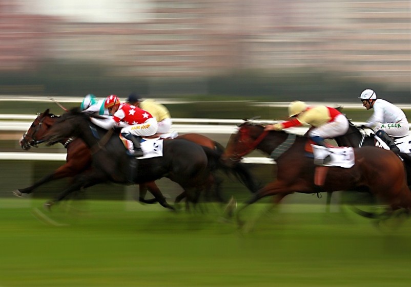 So You Think You Know A Lot About Horses?