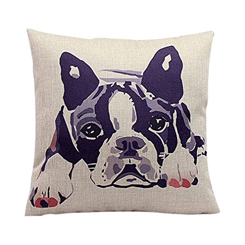 Top 5 Best throw pillow teen for sale 2017 | BOOMSbeat