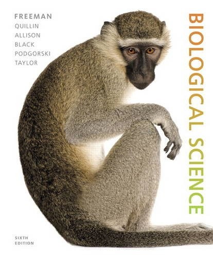 Top 5 Best Selling 6th biological in with Best Rating on Amazon (Reviews 2017)