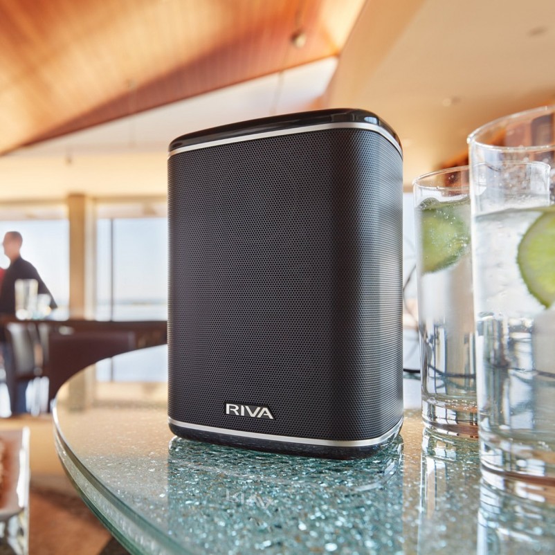 Riva ARENA Compact Multi-Room Wireless Speaker with Battery Pack