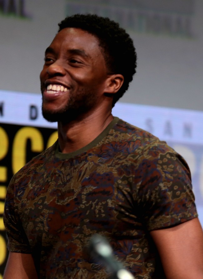 30 Little Known Things Every Black Panther Fan Should Know ...
