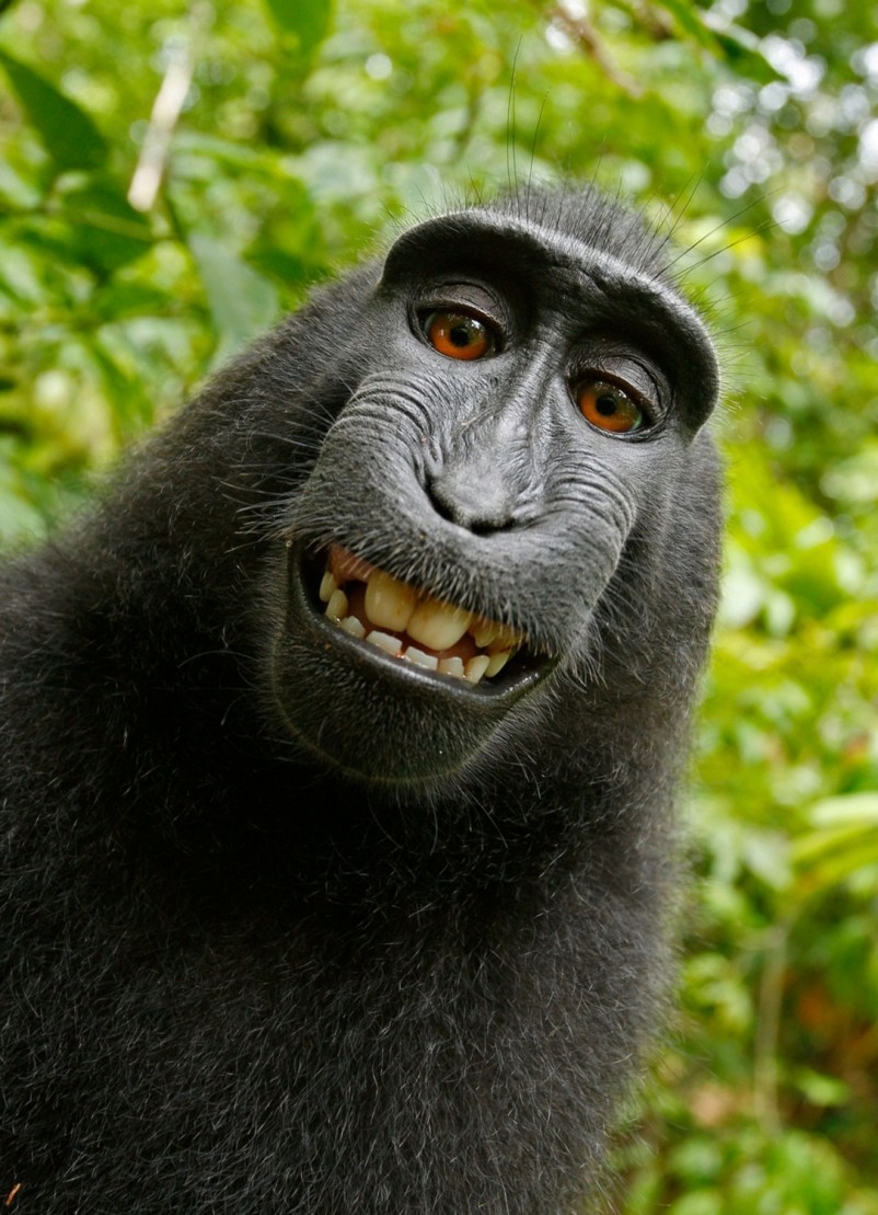 Funny Jokes Benefits and Funny Games That Can Entertain You on Trips