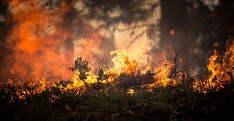 How Do Wildfires Start?