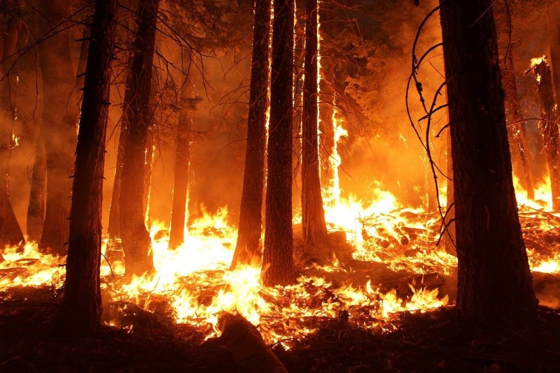 How Do Wildfires Start?