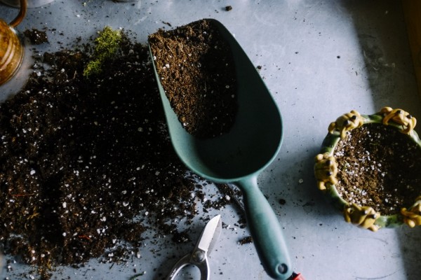 Gardening Gardening