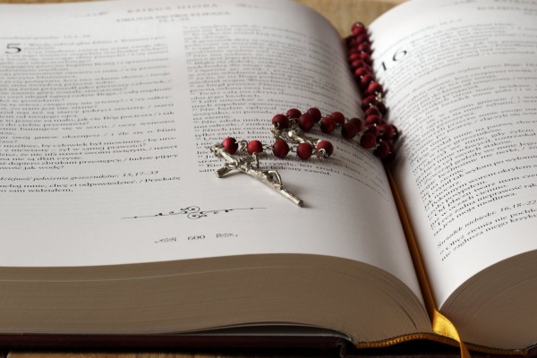 bible bible