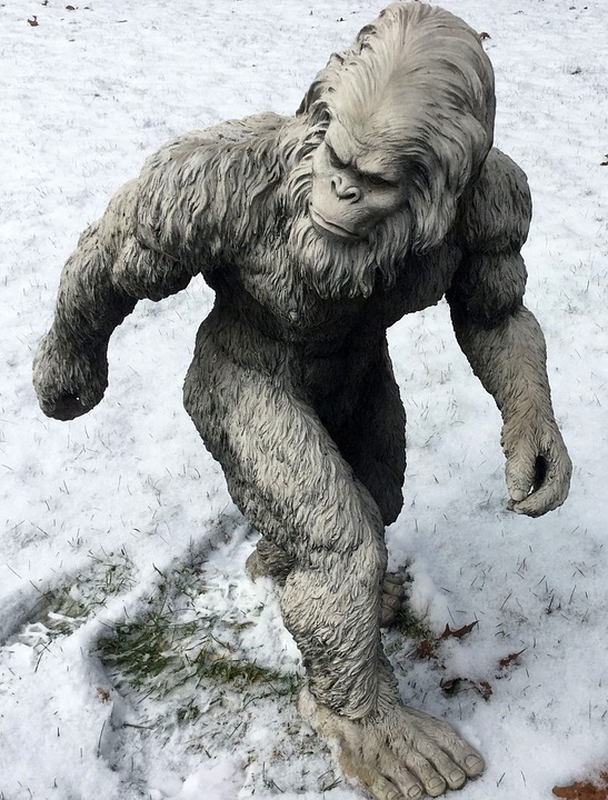 bigfoot bigfoot