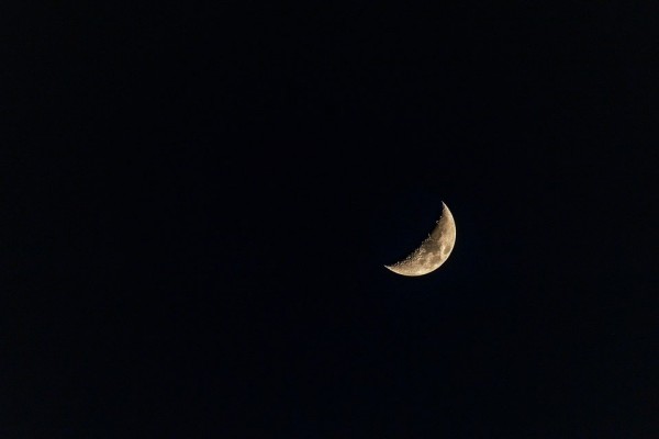 Moon Moon