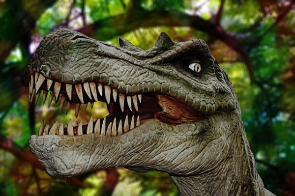 Dinosaurs Dinosaurs