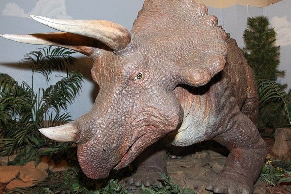 Dinosaurs Dinosaurs
