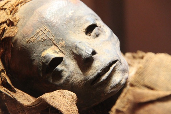Mummy Egyptian Mummy Egyptian