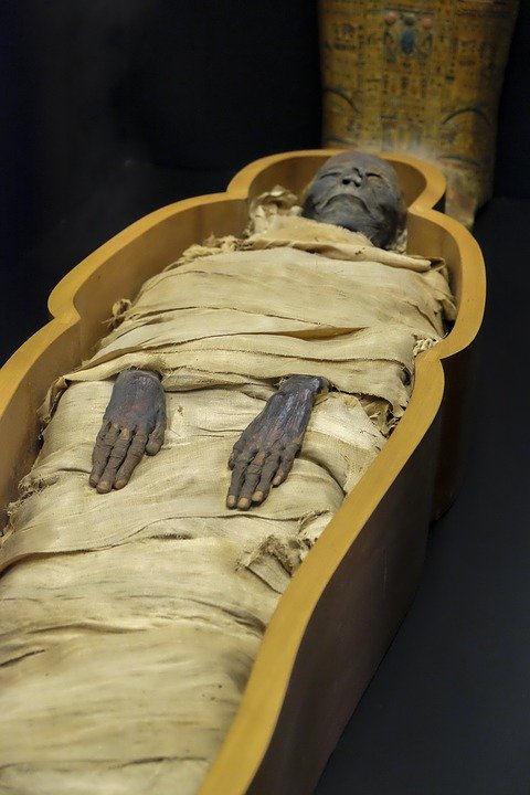 Mummy Egyptian Mummy Egyptian