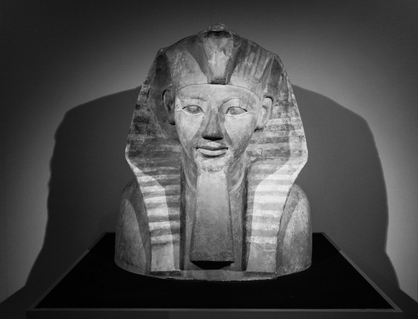 Mummy Egyptian Mummy Egyptian