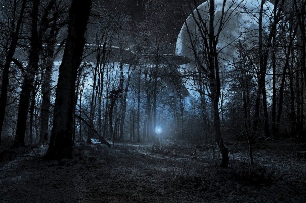 UFO Sighting UFO Sighting