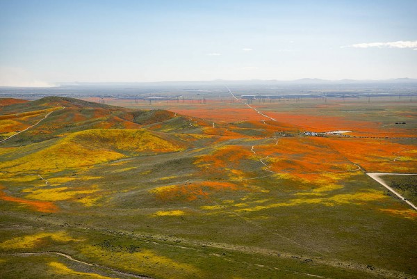NASA photo of Superbloom NASA photo of Superbloom