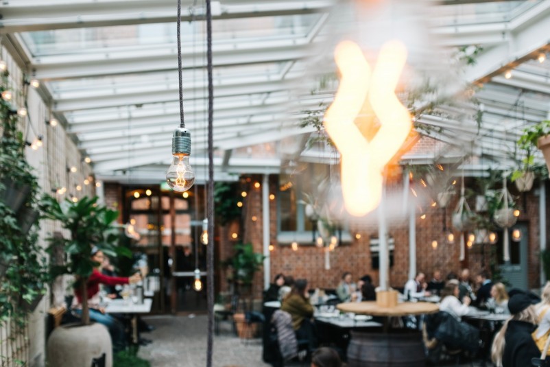 How to Choose Lights for Your Indoor Plants