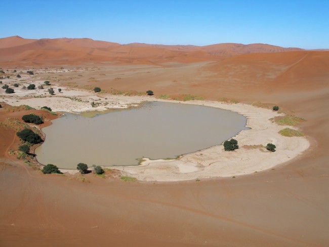 50 Photos of Namib Desert, The Oldest Desert in the World | BOOMSbeat