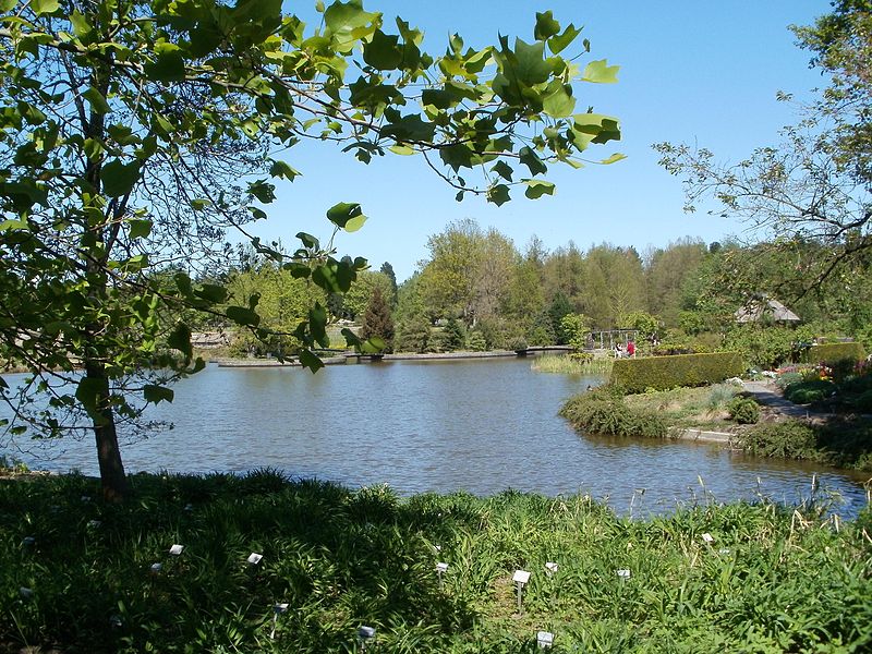 photos of the Botanischer Garten Hamburg BOOMSbeat