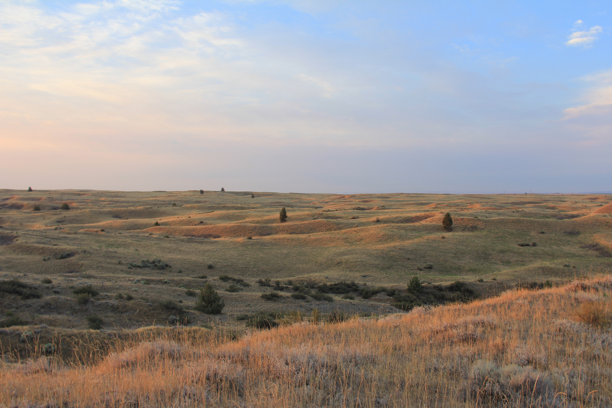 36 great photos of Juniper Dunes Wilderness in Washington | BOOMSbeat