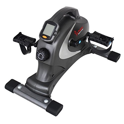 (VIDEO Review) Sunny Health & Fitness SF-B0418 Magnetic ...